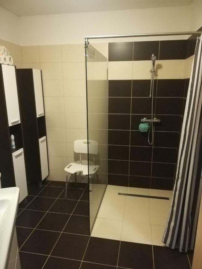 זנוימו Apartmany Pod Divadlem מראה חיצוני תמונה
